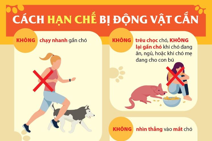 Tăng cường các biện pháp cấp bách phòng, chống bệnh Dại 
